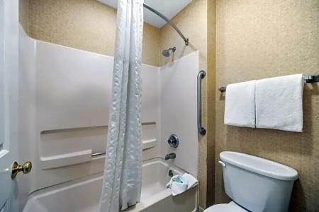 Quality Suites Atlanta Buckhead Village North - 71