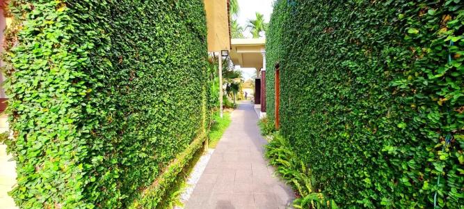 The Blossom Resort – Onsen & Foot Massage Inclusive - 368