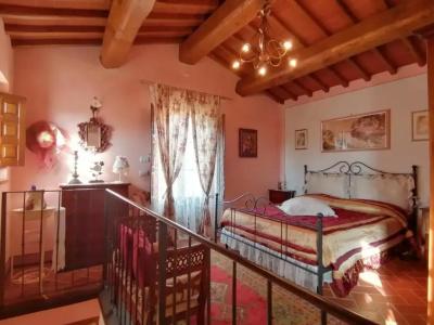 Podere Piandarca - 19