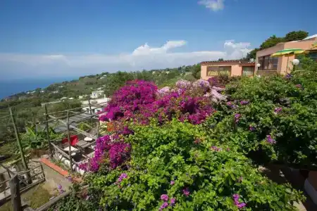 Il Girasole - 58