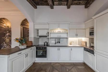 Residence U Mecenáše - 245