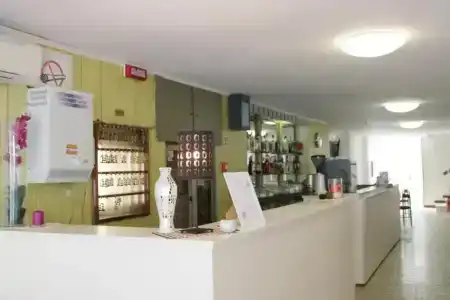 Bacco - 8