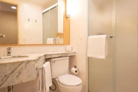 ibis Sao Paulo Barra Funda - 71
