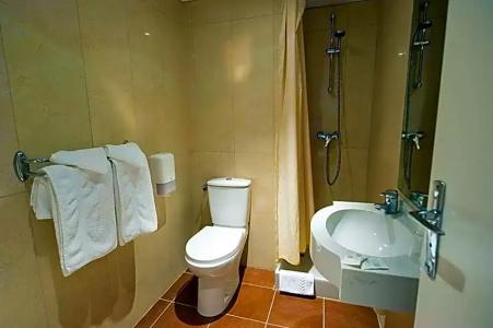 The Originals City, Hôtel Astoria Vatican, Lourdes (Inter-Hotel) - 62