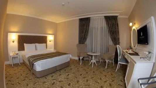 Luxor Garden - 33