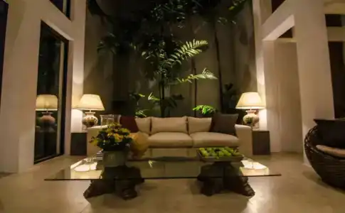 The Mangrove - 5