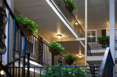 Frenchmen Orleans at 519, Ascend Collection - 14