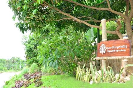 Tropical Hill Kep Cambodia - 17