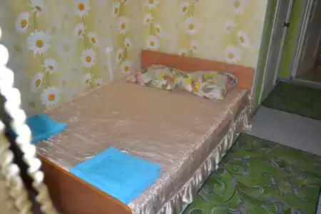 Дельфин - 7