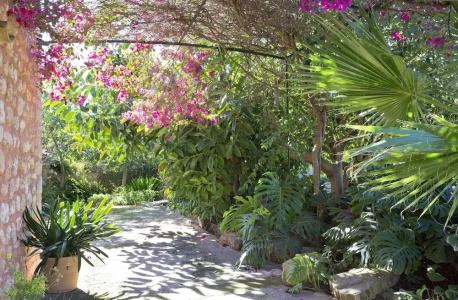 Finca Ca'n Quatre - 132