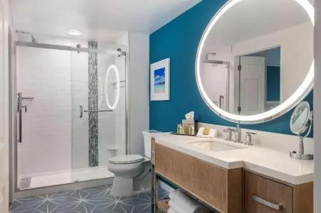 DoubleTree Suites by Hilton - 243