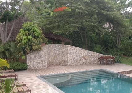 Botanica - 11
