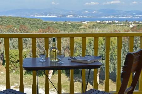 Asteras Paradise - 126