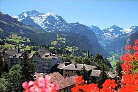 Belvédère Wengen - 48