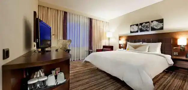 Hilton Garden Inn Mardin - 26