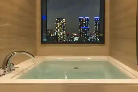 La Vista Tokyo Bay - 100