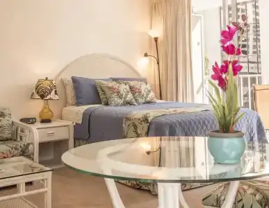 Tropical Studios At Marine Surf Waikiki - Free Parking - Best Location - Full Kitchen - Swimming Pool - 2