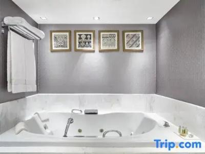 Sheraton Grand Rio & Resort - 288