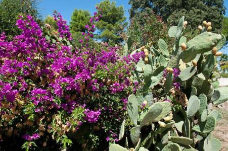 Ostuni Rosa Marina Resort - 24