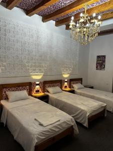Dolon House - 60