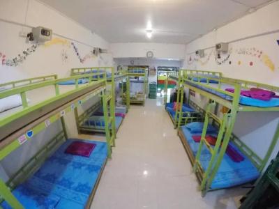 Hangover Hostel - 29
