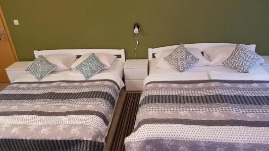 Guest House Wolf - 30