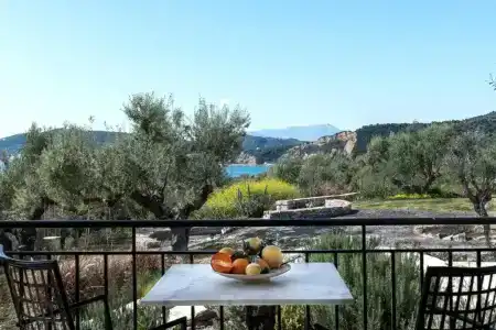 The Olive Yard - 47