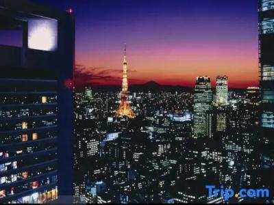 The Royal Park Iconic Tokyo Shiodome - 82