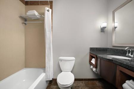 Holiday Inn & Suites Downtown, an IHG - 32