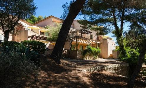 Provençal - 101