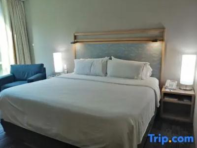 Holiday Inn Express Mexico Reforma - 99