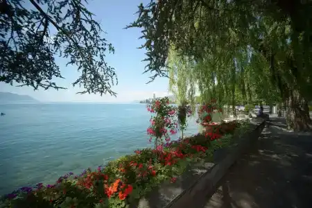 Montreux Youth - 34
