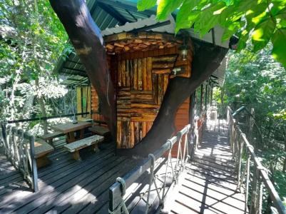 Khao sok tree house resort - 47