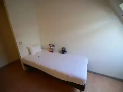 ibis budget Blois Centre - 61