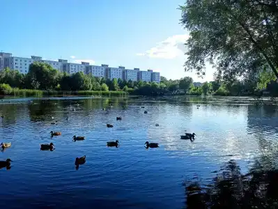 Квартиры на Маршала Чуйкова 42 - 2