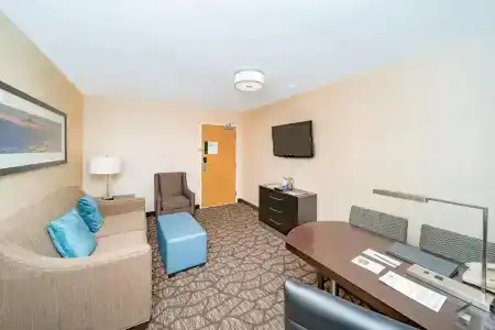 Embassy Suites by Hilton/ Fallsview - 55