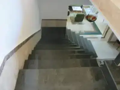 Колибри - 2