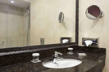 Ramada & Suites by Wyndham Bucharest North - 7