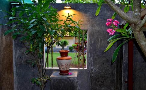 Morning Star Resorts - 7