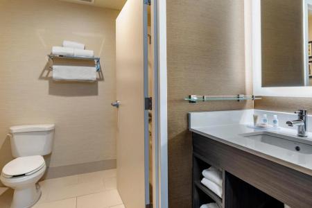 Comfort Inn & Suites North Dallas-Addison - 8