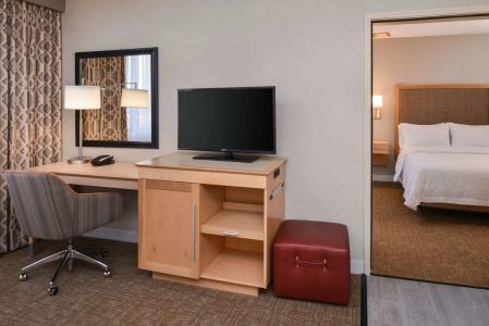 Hampton Inn & Suites Denver-Speer Boulevard - 4