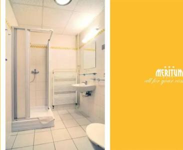 Meritum - 36