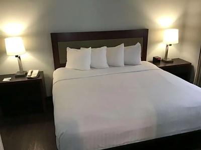 SureStay Studio by Best Western - 116