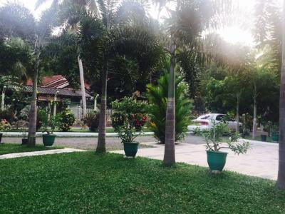 Peacock Villa - 16