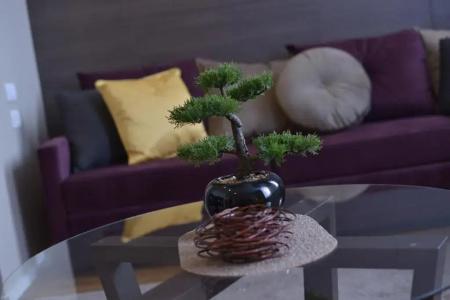 Boutique Rooms - 146