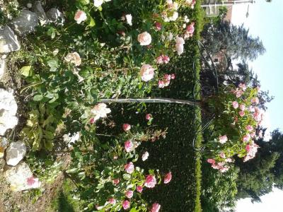 Cit'Le Logis De Brou - 10