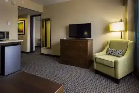 Holiday Inn Houston Downtown, An Ihg - 100