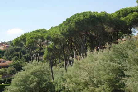 Hôtel Les Jardins De Sainte-Maxime - 75