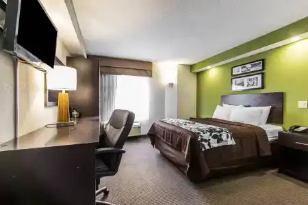 Quality Inn - 43