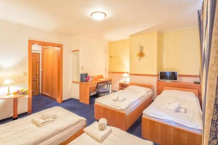 Prague Carl Inn restaurant & Free Parking - 10
